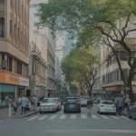 Les frelons asiatiques en ville : un défi croissant pour la sécurité et la biodiversité urbaine